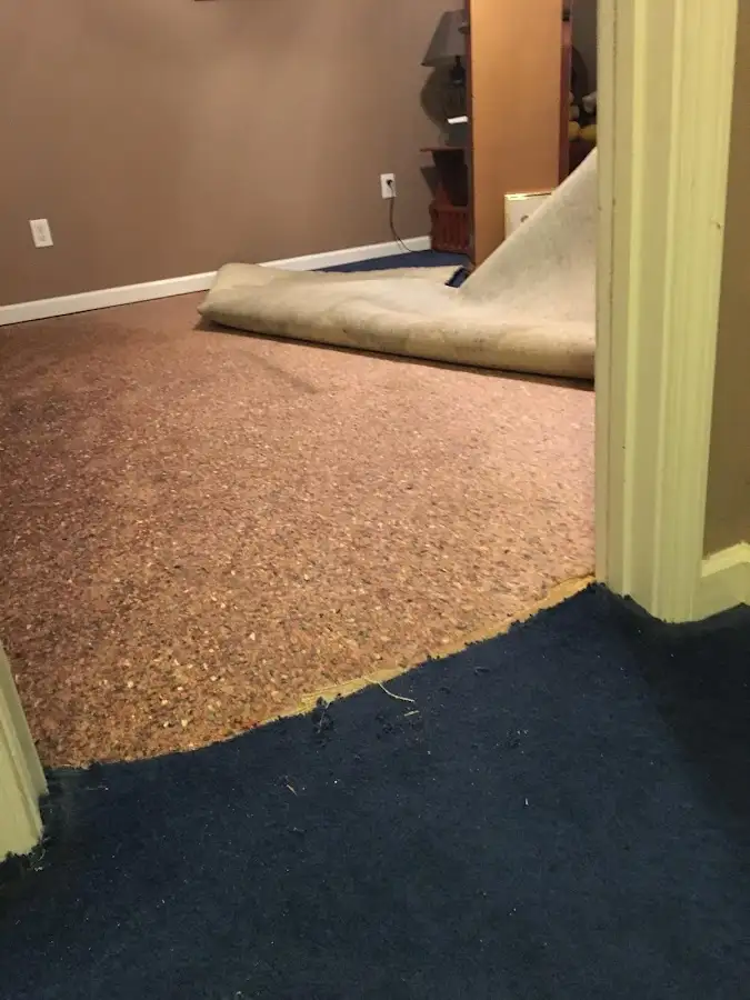 Carpet pad removal revealing water damage during Water Mitigation Services in Coralville